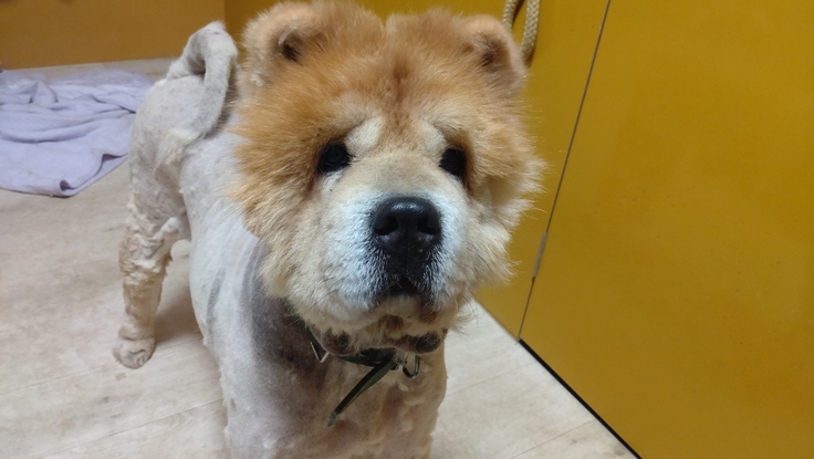 2025-02-06 玉悟 (2).JPG