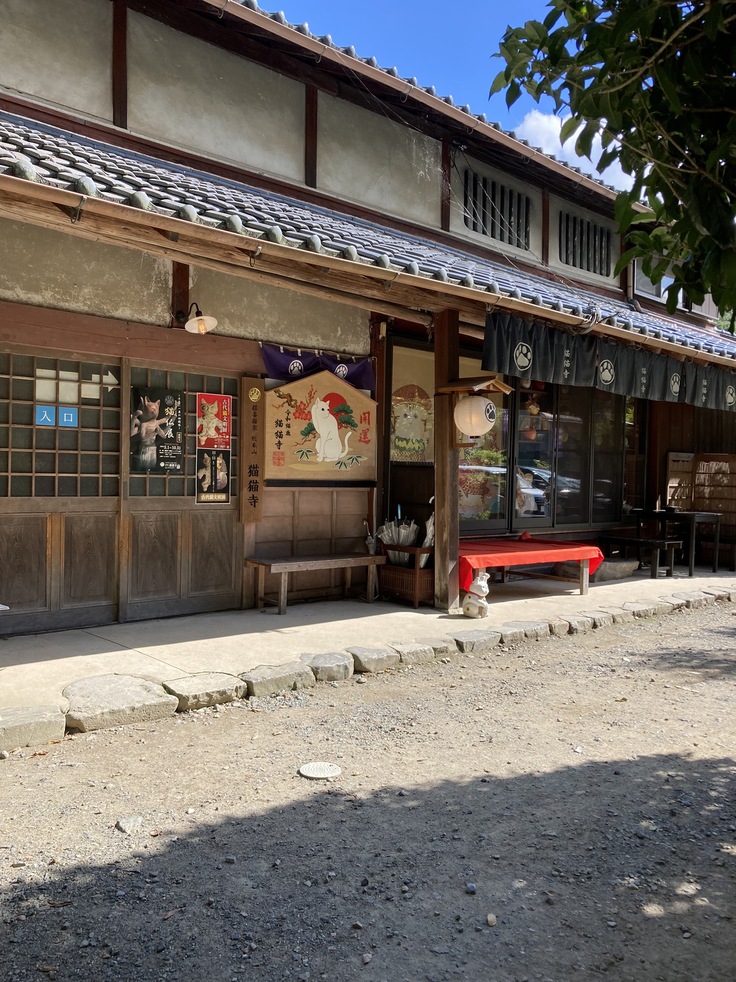 京都市八瀬近衛の猫猫寺さま