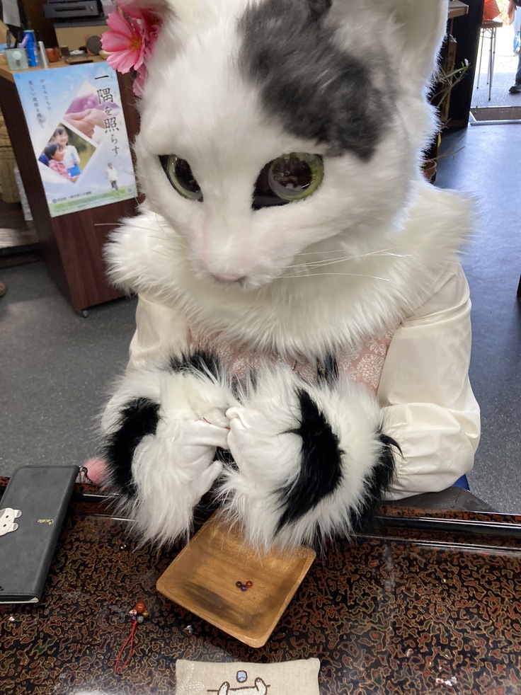 等身大の猫　ごましおちゃん