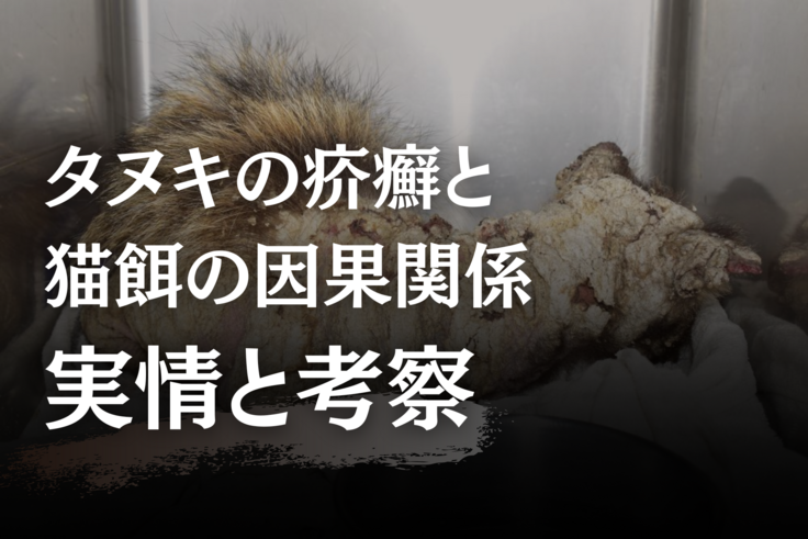 ホンドタヌキの疥癬について 実情と考察.png