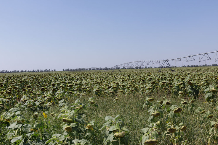 セルゲイ氏の農場