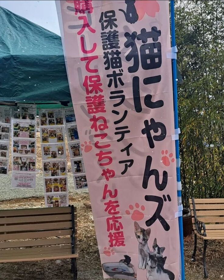 各地の保護猫活動パネル展示