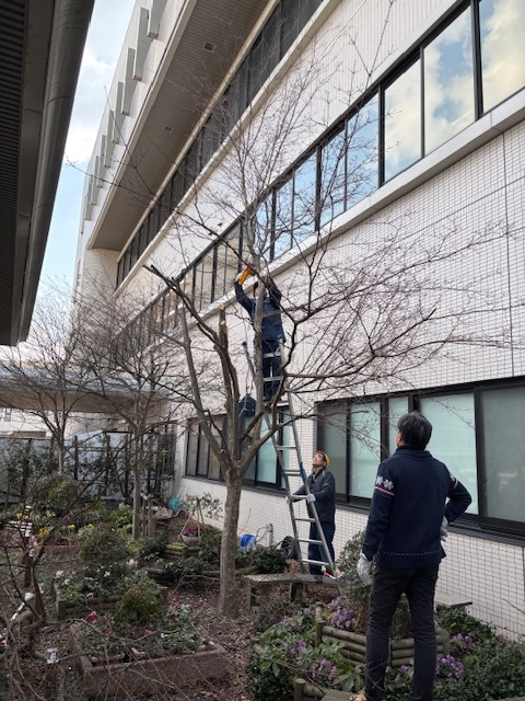 3_掲載用③（選定）image2 (7).jpeg