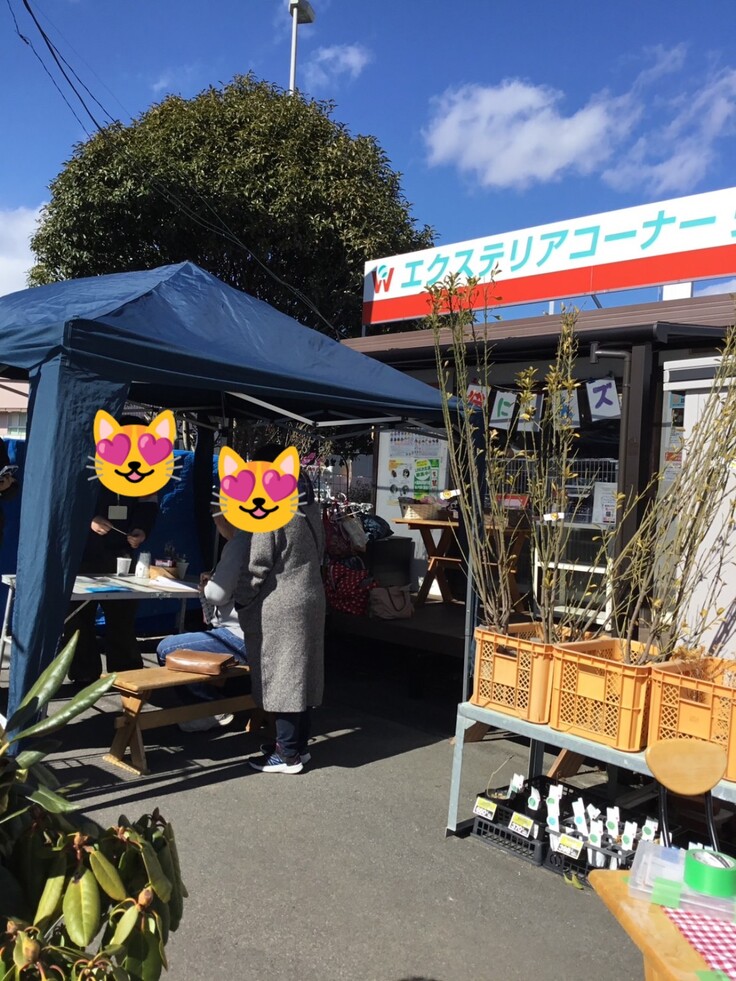 綿半ホームエイドアップロード店譲渡会