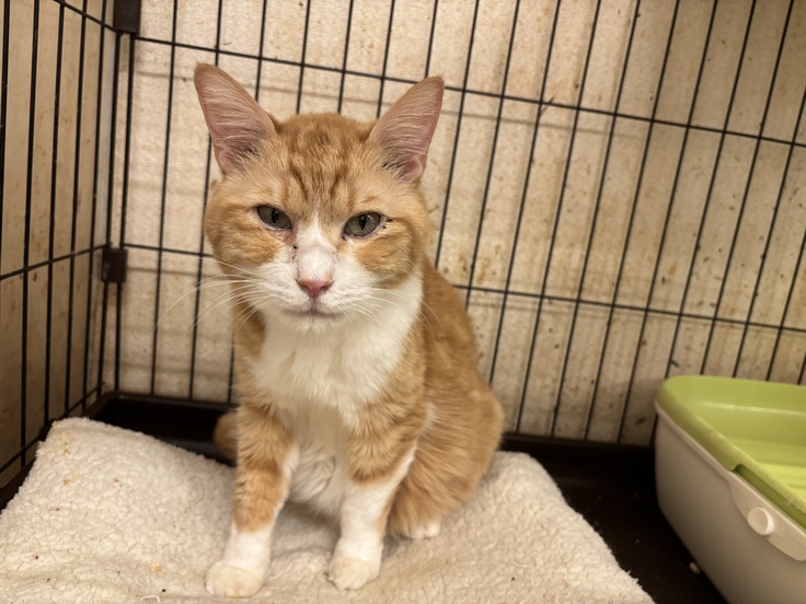 まるてんちゃんの写真