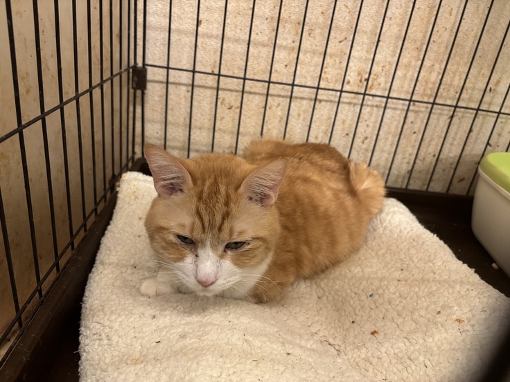 個室にて少しキツそうな様子のまるてん