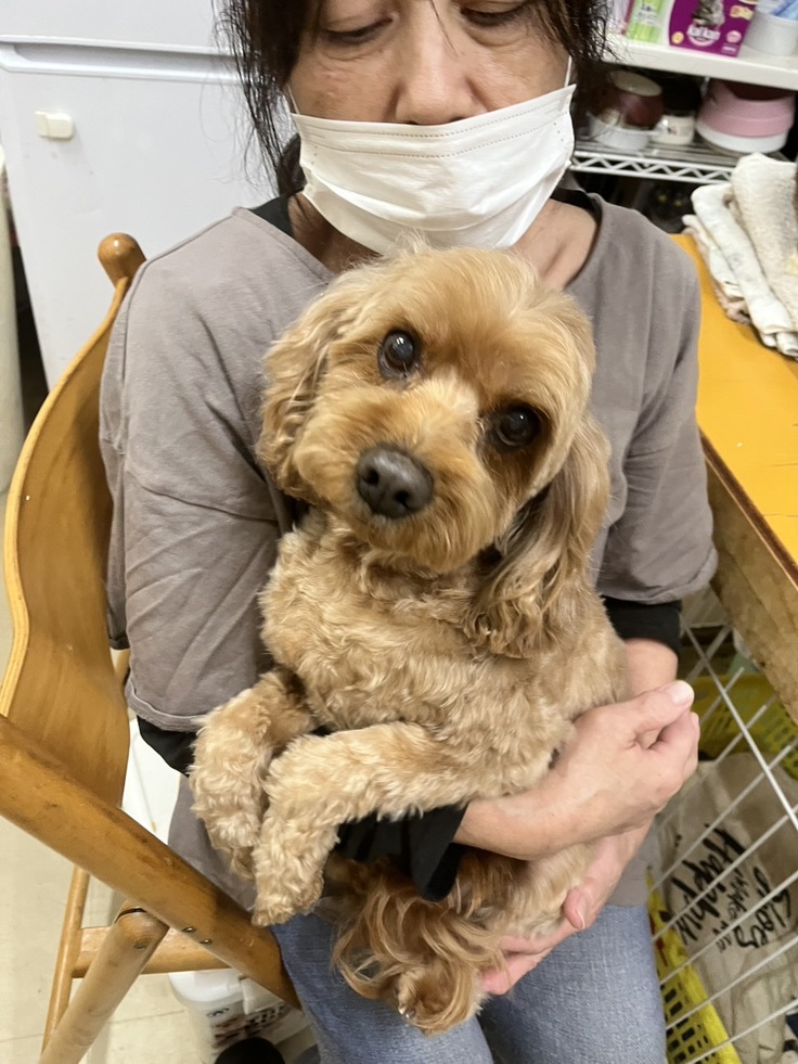 クリクリお目目が可愛い女の子