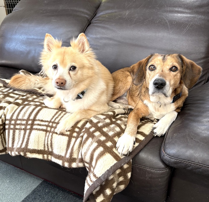 モカちゃんとフウちゃん