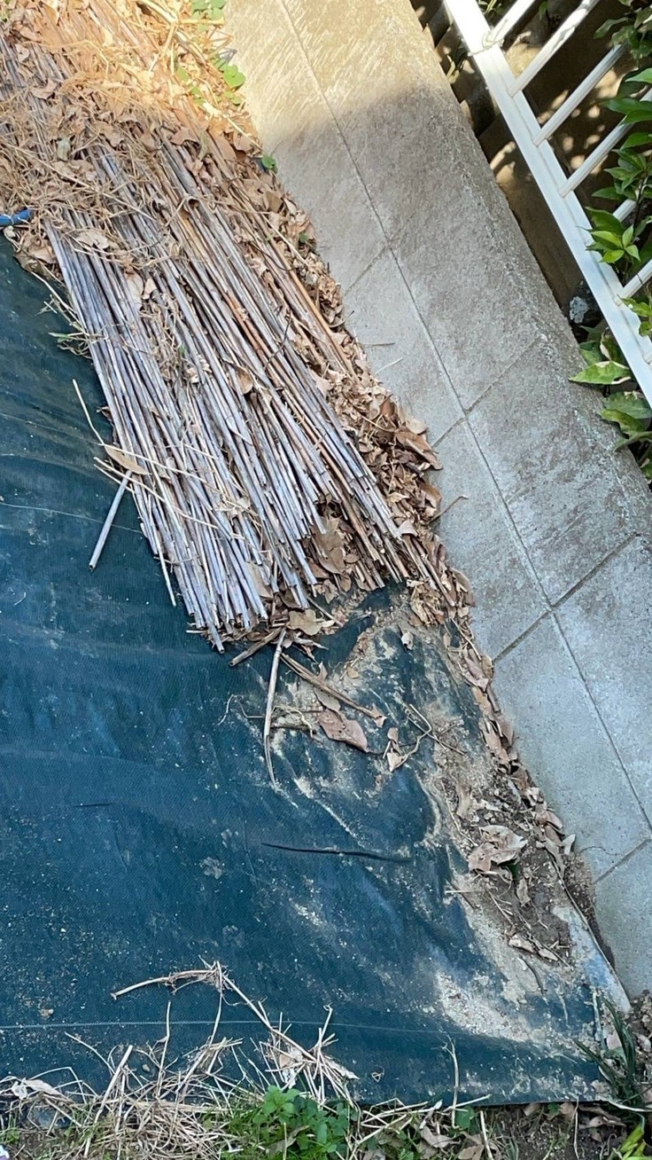 敷地内へ撒き散らさた白っぽい謎の物体