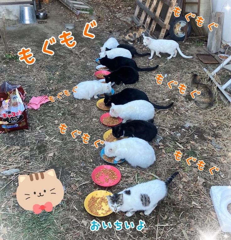 モグモグ美味しい