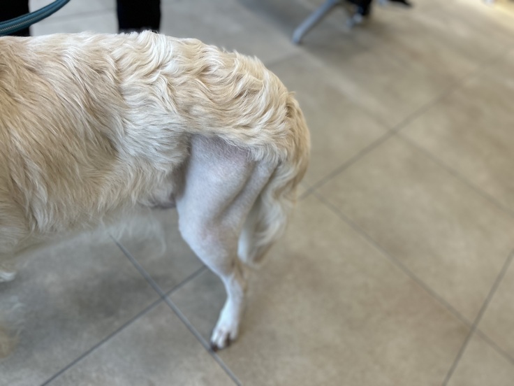 術後1週間くらい。