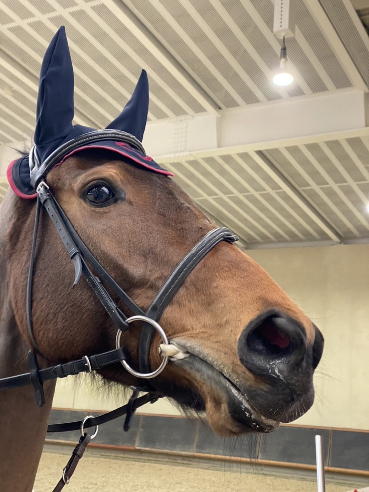 出番前のプロヴァーブ