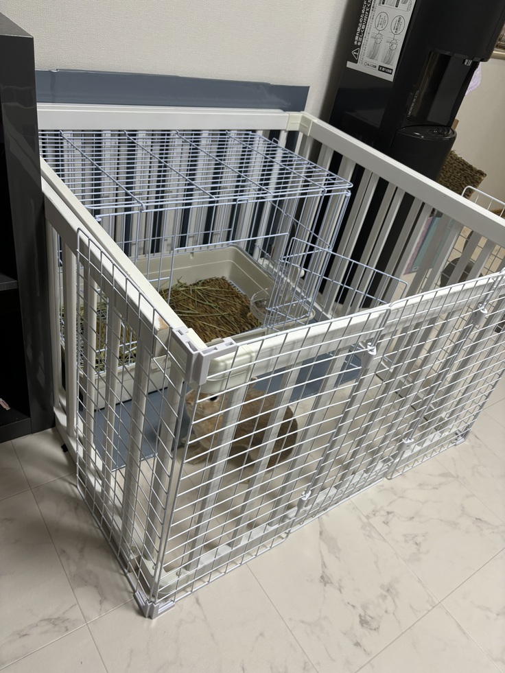 うさぎさんのお部屋