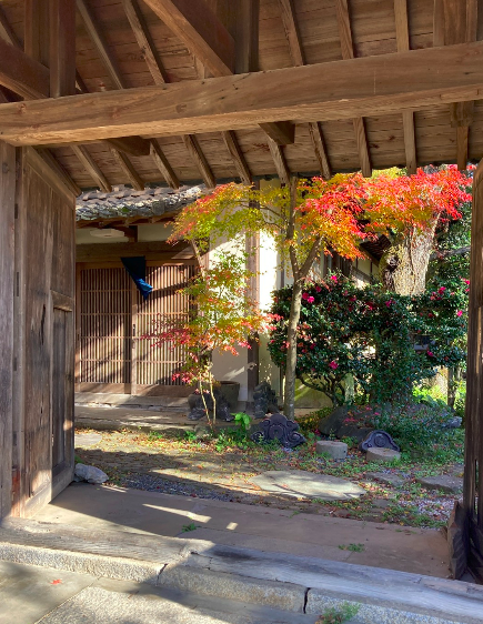 スクリーンショット 2025-03-11 10.04.13.png