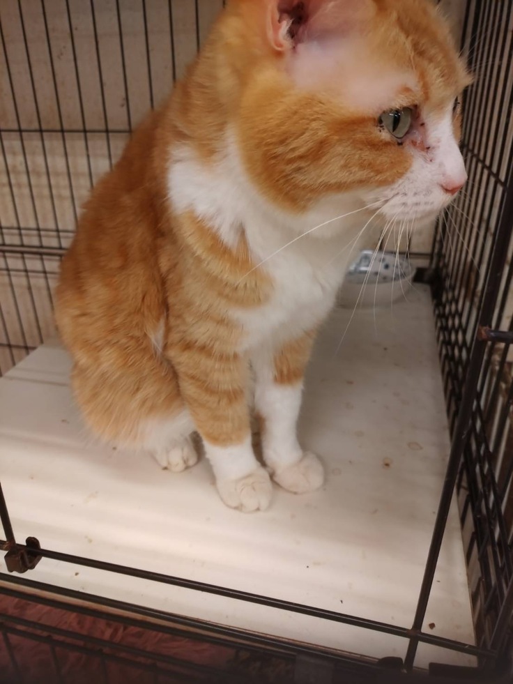 まるてんもだいぶ元気になりました