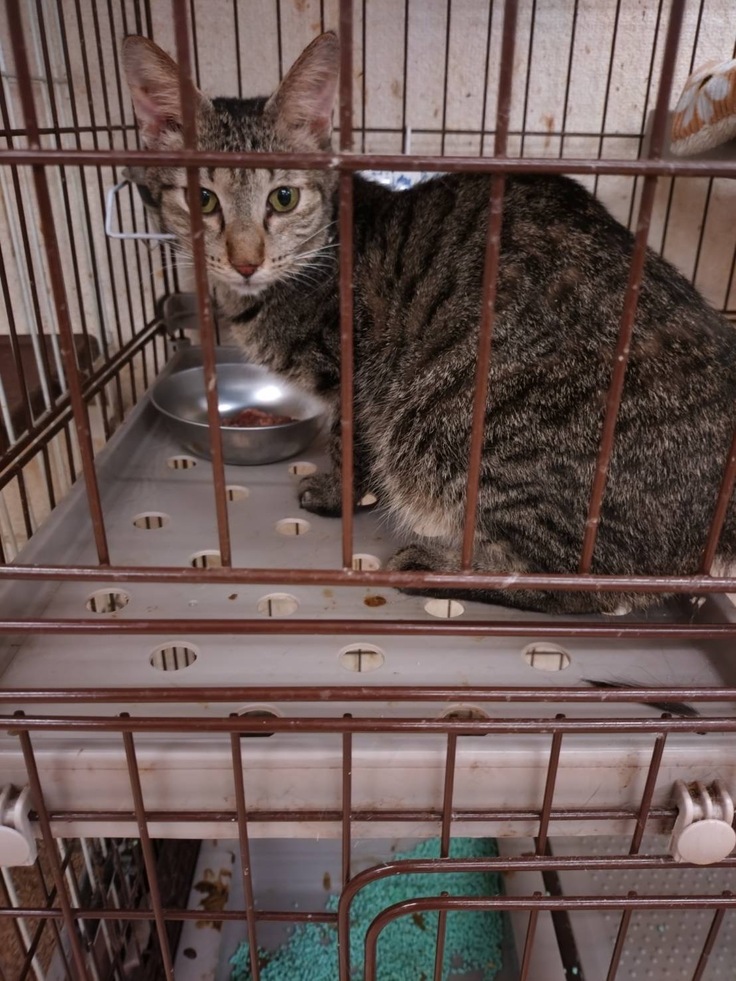 あすかのご飯タイム