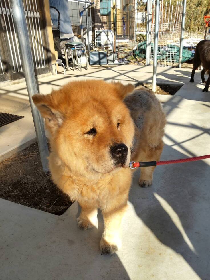 2025-02-09 有栖 (4).jpg