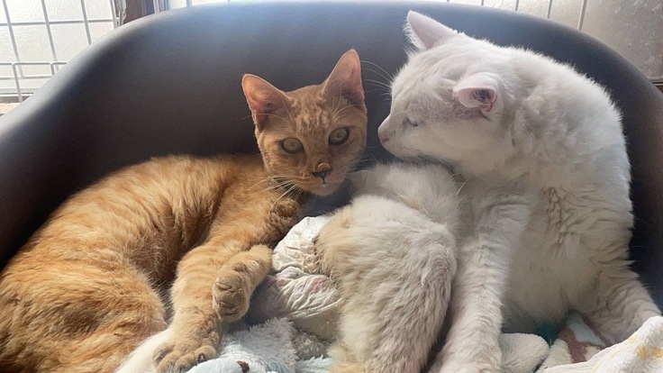 白血病専用施設にて