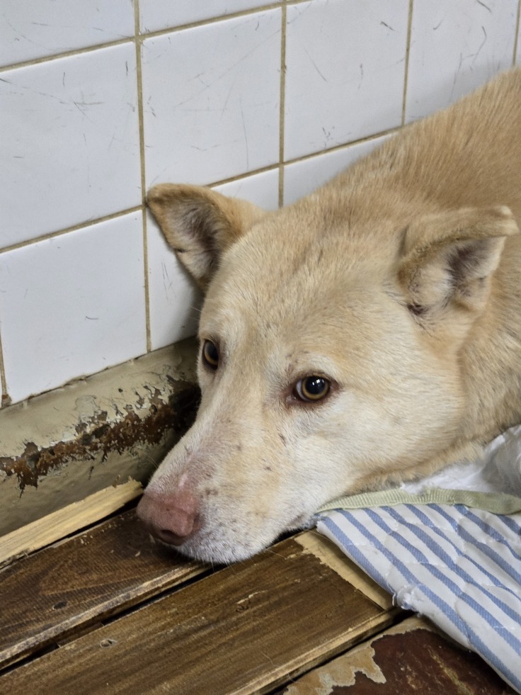 周南健康福祉センター