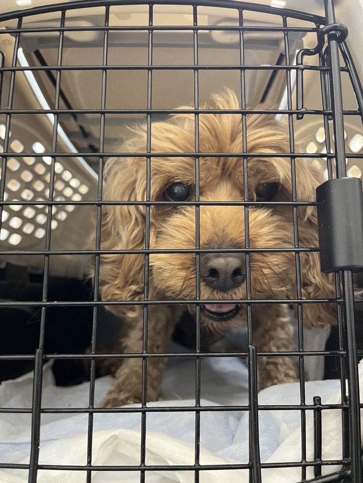 これからLienへ帰ります