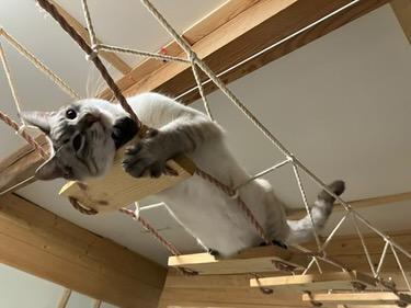 ボランティアさんからの写真