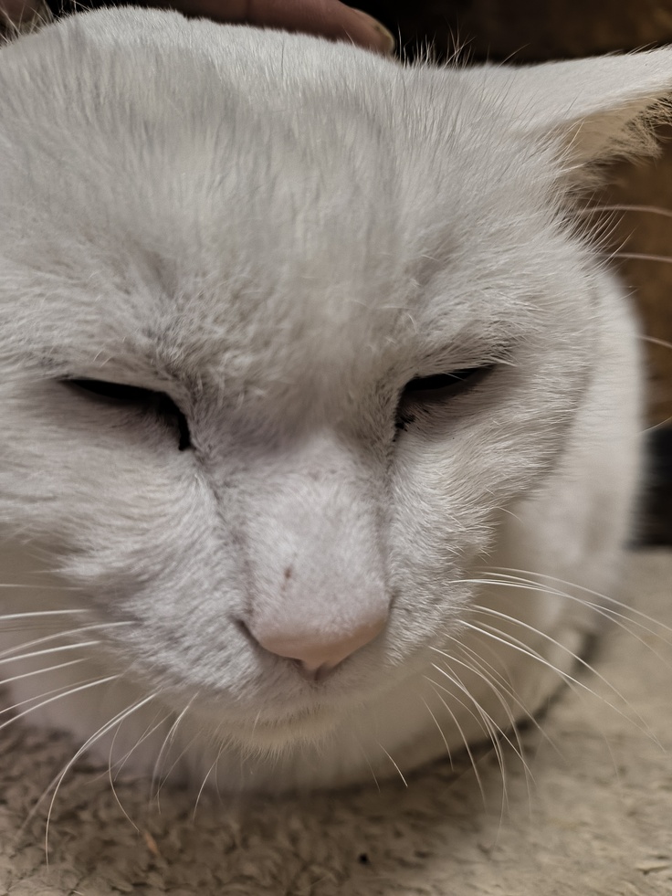 いつもそばにいてくれます