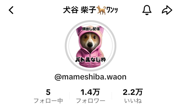 犬谷柴子 TikTok画面