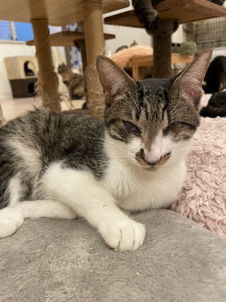 大きくなったジャンの写真