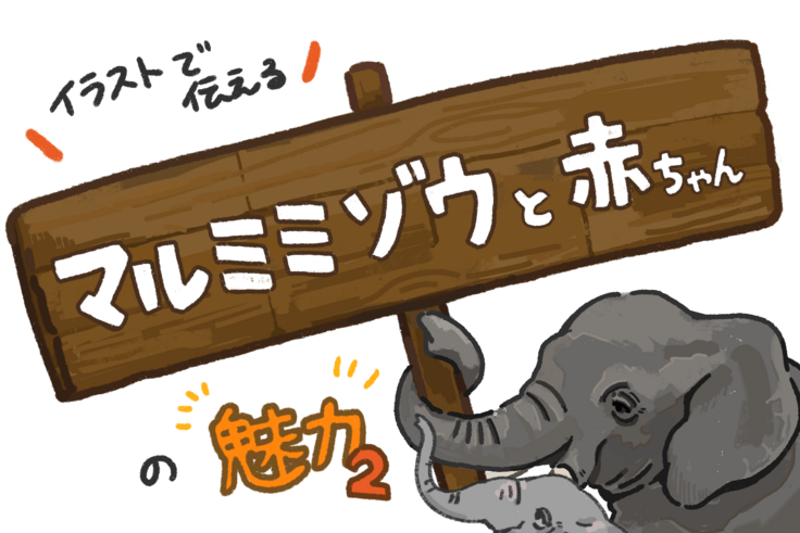 イラストで伝える　マルミミゾウと赤ちゃんの魅力