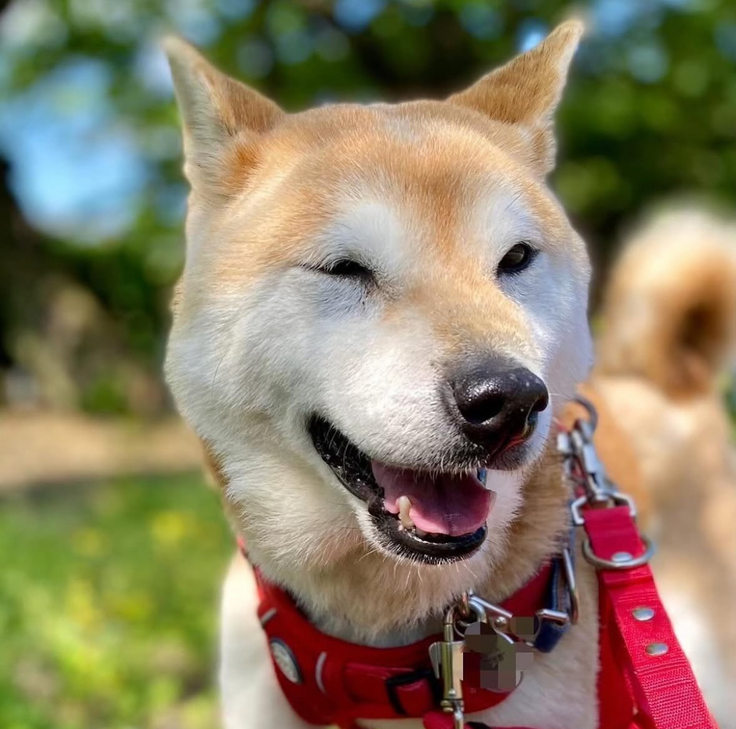 にこにこひびきちゃん