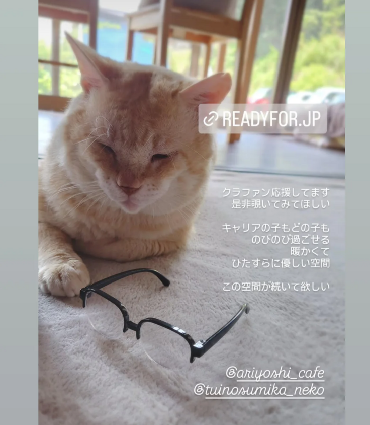 SNSにて呼びかけてくれるボランティアさん