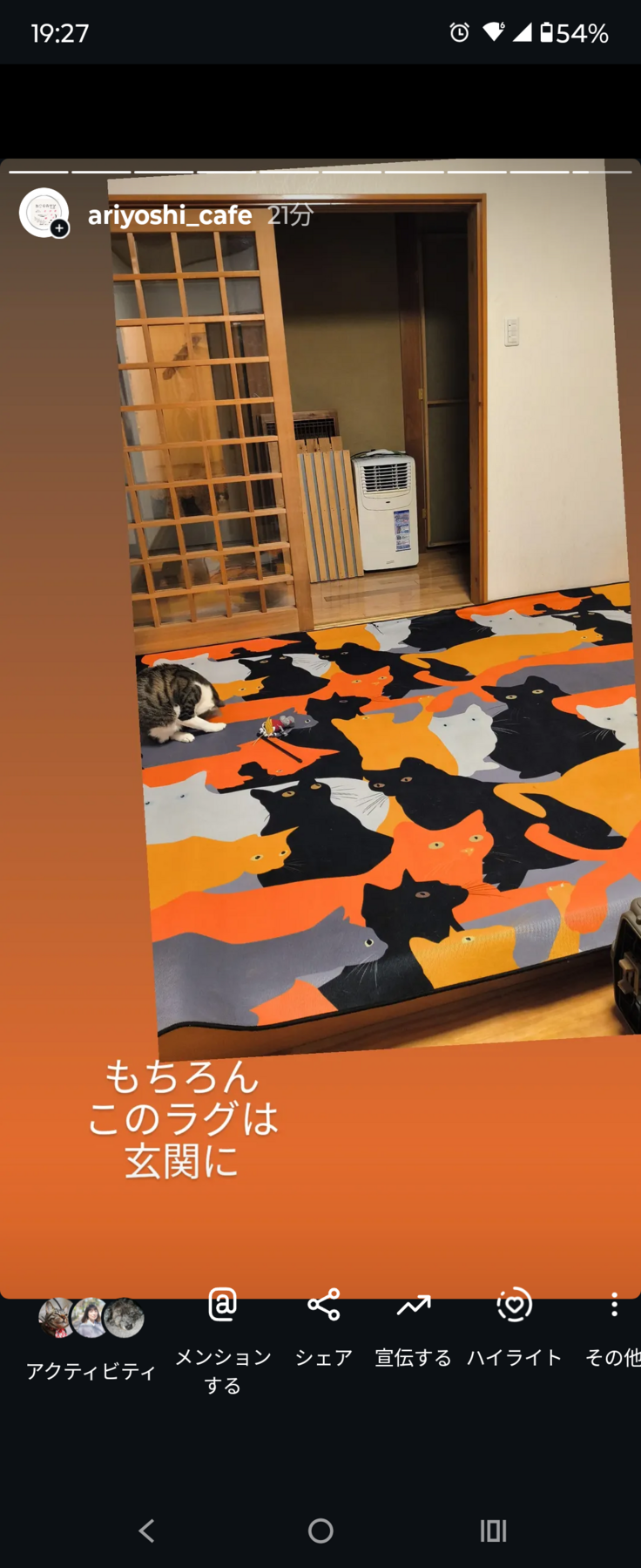 田川の玄関のラグ