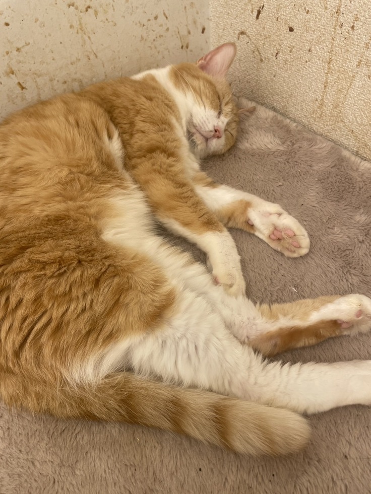 まるてんの写真。