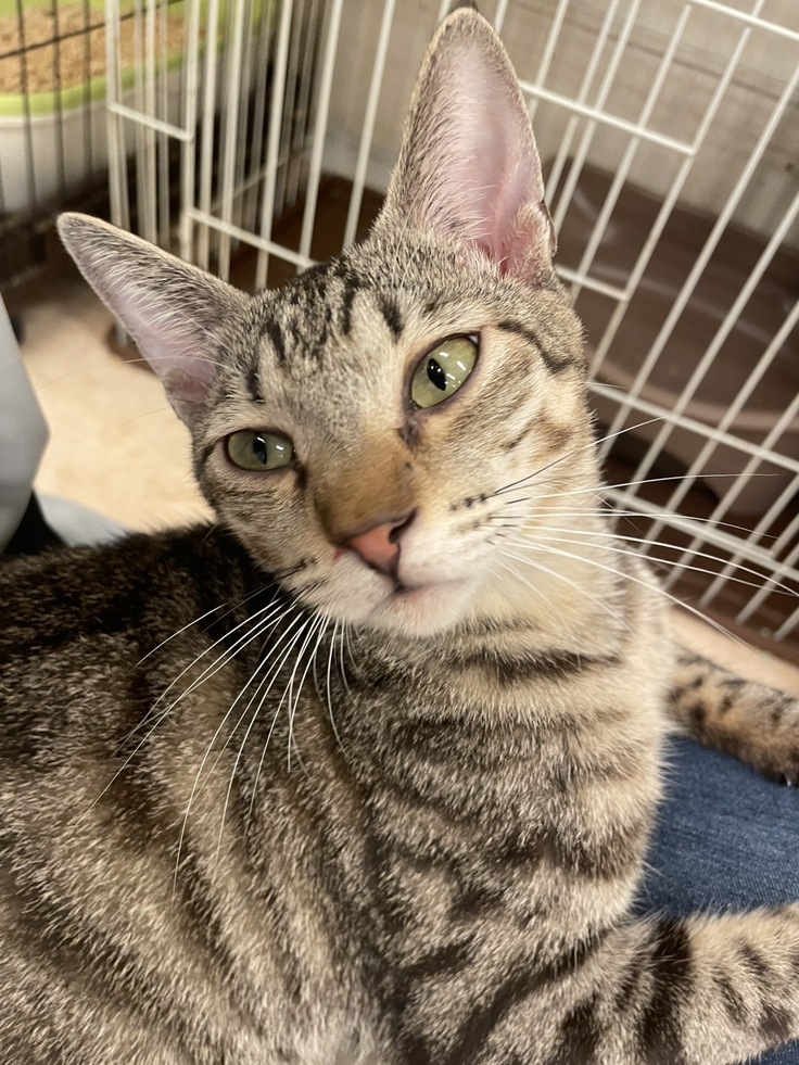 元気になったふとの写真