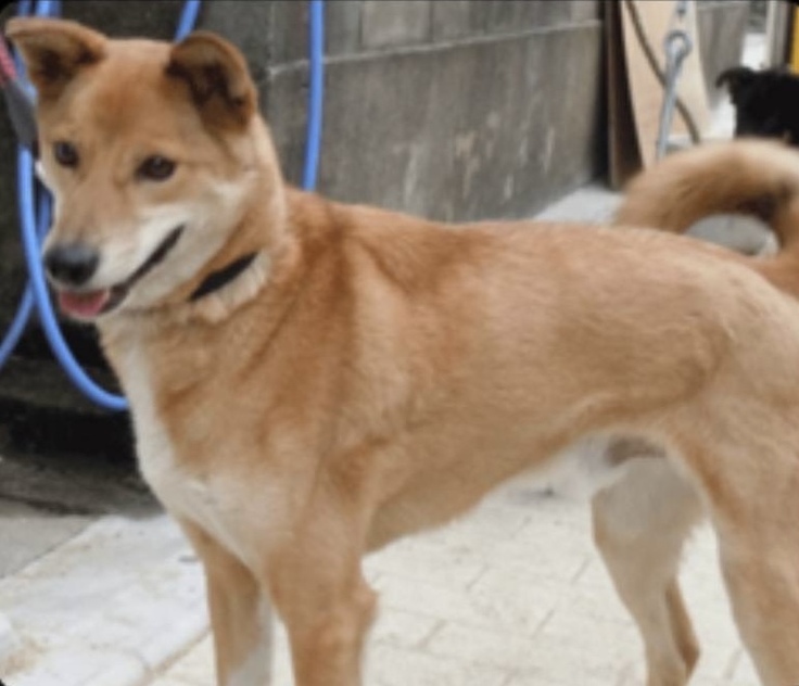 一郎くんの写真