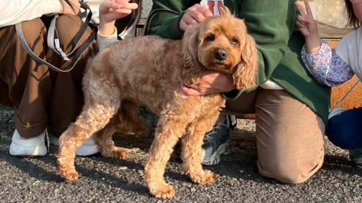 おみその写真。