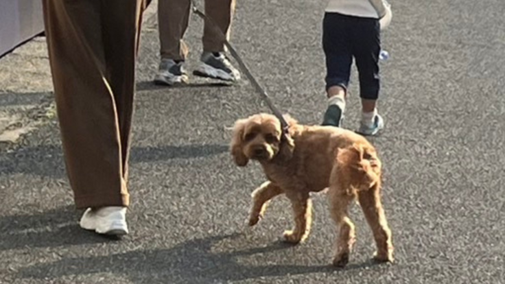 おみその写真。