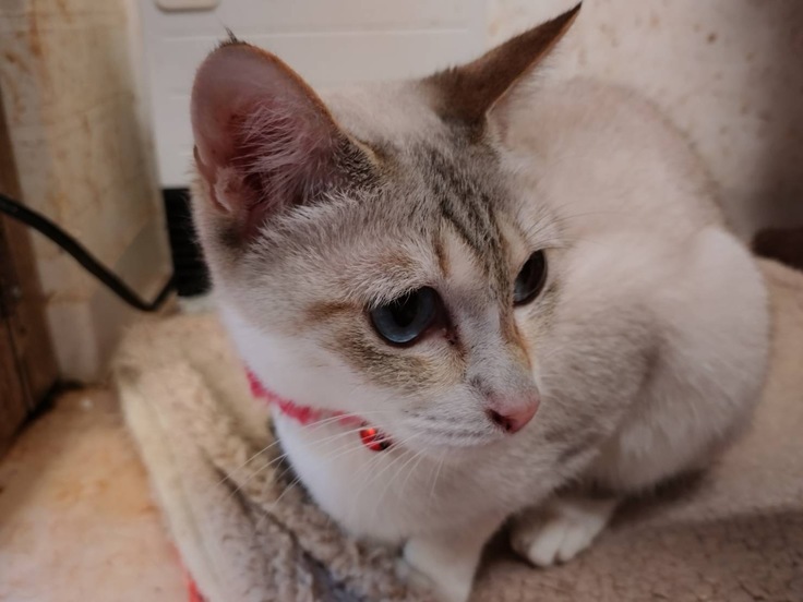 女の子 2歳の謝辞