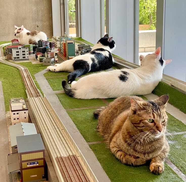 天保山・大阪文化館 ジオラマ食堂の一コマ