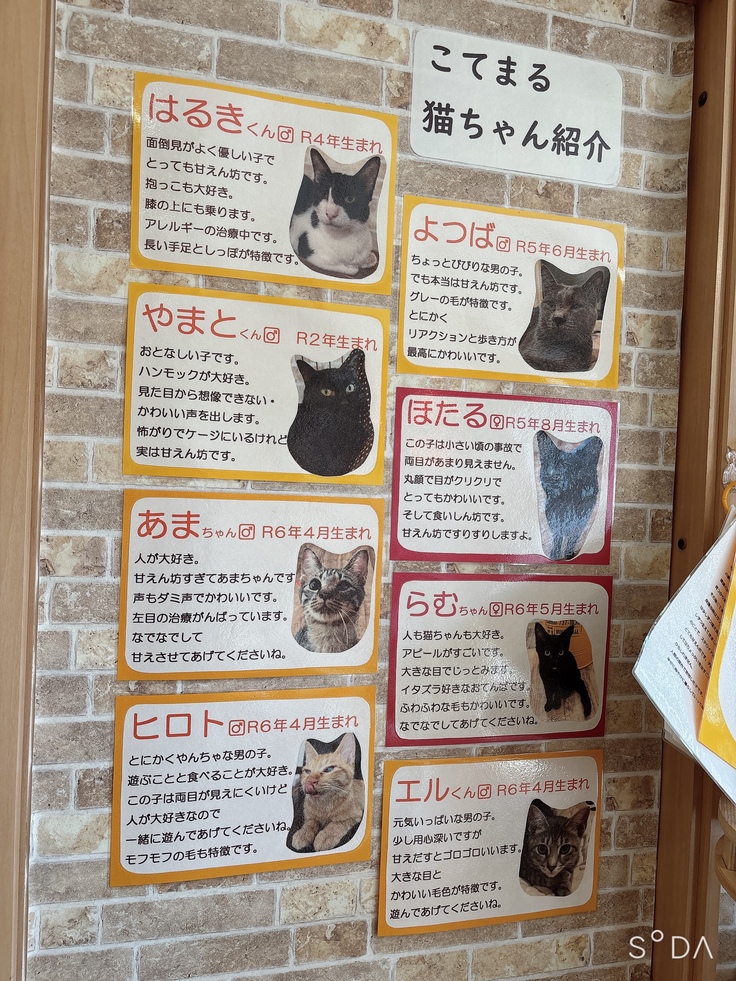 こてまる紹介写真