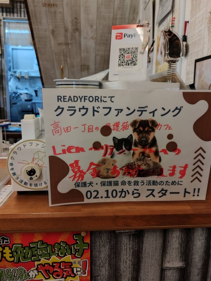 たかりあるうどん 紹介写真