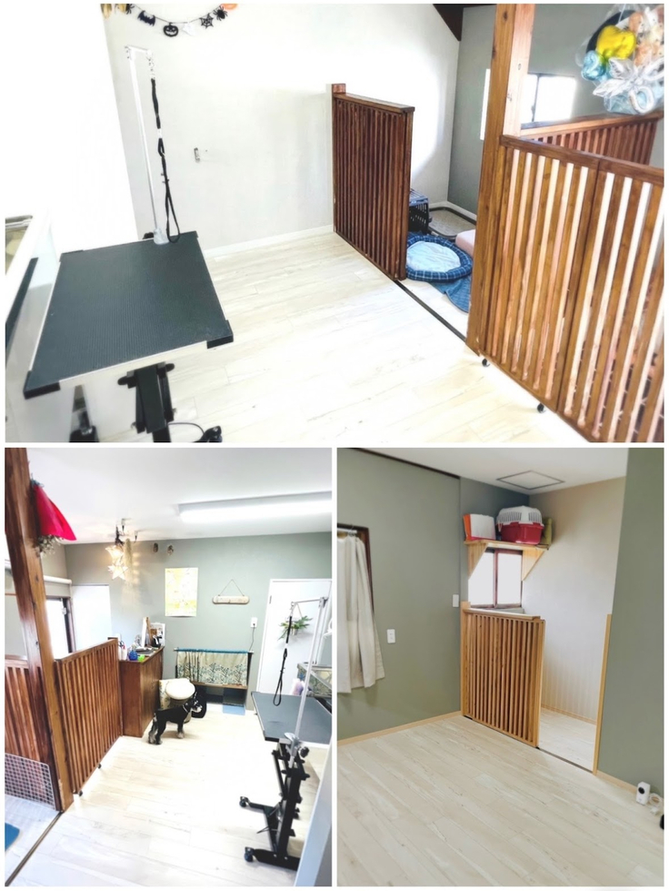 ピコプタ紹介写真