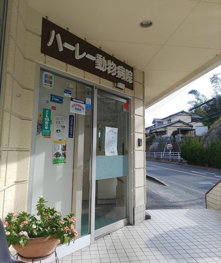 ハーレー動物病院紹介写真