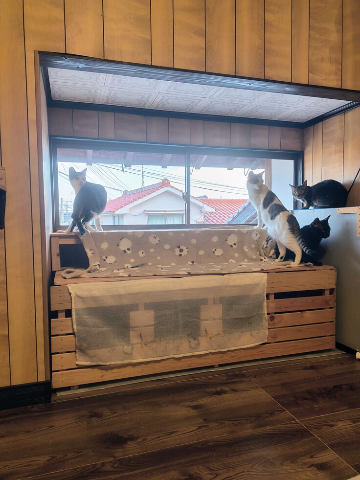 再ウイルス検査が終わった子達