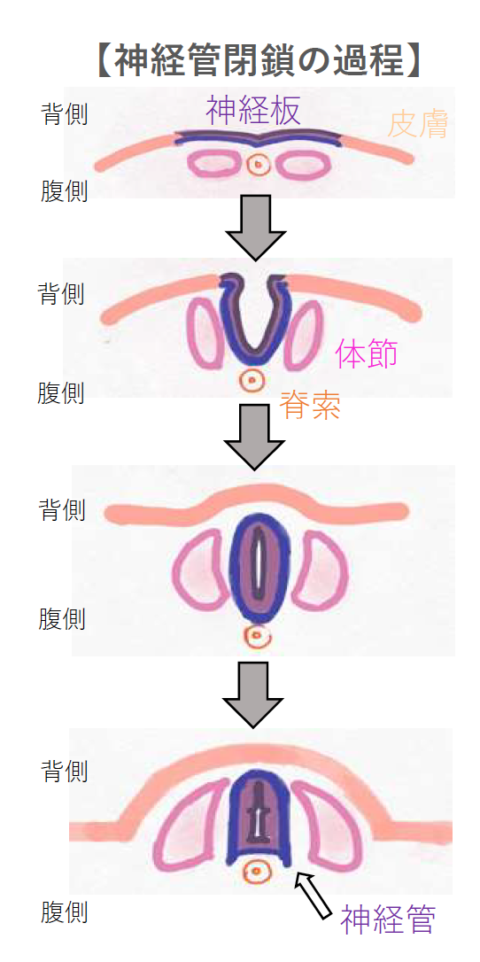 スクリーンショット 2025-03-31 20.16.19.png