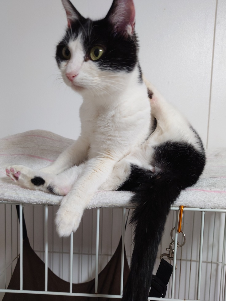 あられとトライアルへ