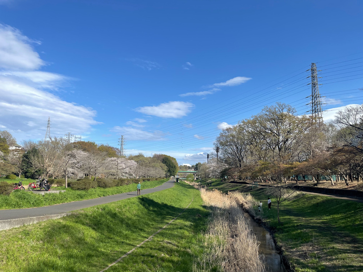 野川と武蔵野公園