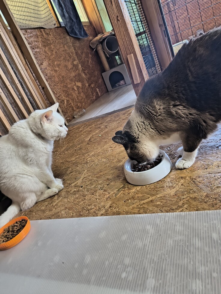 左元気な頃のりゅう君　