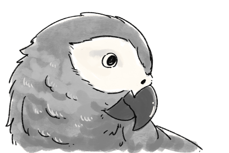 まるいくちばし