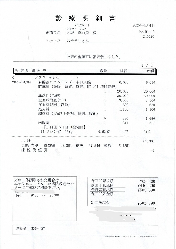 ４月７日診療明細_ページ_1.jpg
